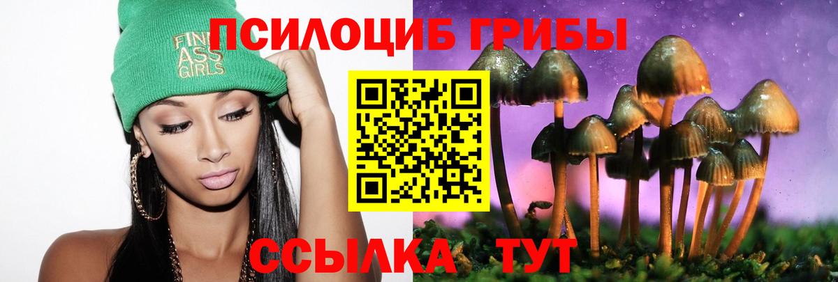 Галлюциногенные грибы прущие грибы Лыткарино