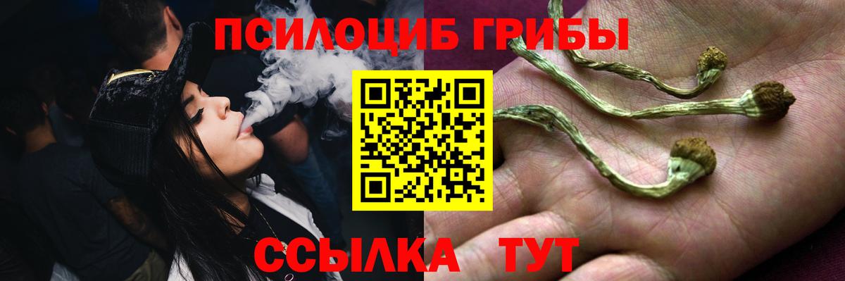 Псилоцибиновые грибы Magic Shrooms  Вход с VPN  купить  сайты  Лыткарино 